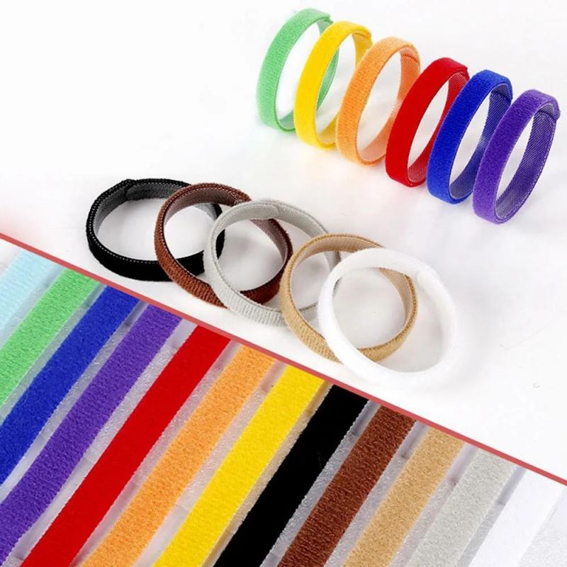 12 Colors Identification ID Collars Puppy Kitten Dog Pet Cat Collar