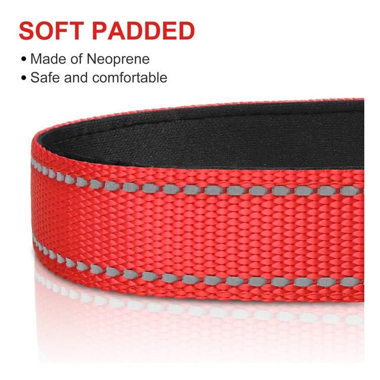 Custom Color Soft Neoprene Padded Reflective Dog Collar with Lockable Safety Buckle for Small Pet Dogs