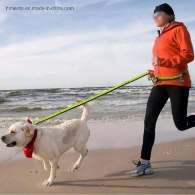 Dog for Running Walking Elastic Reflective Bungee Rope Dogs Leashes New Pet Hands Free Dog Leash Running Rope