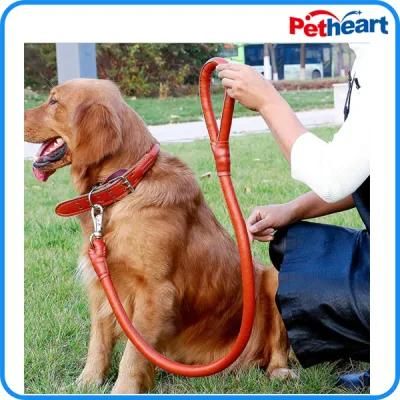 Factory Best Leather Pet Collar for Dogs (HP-106)