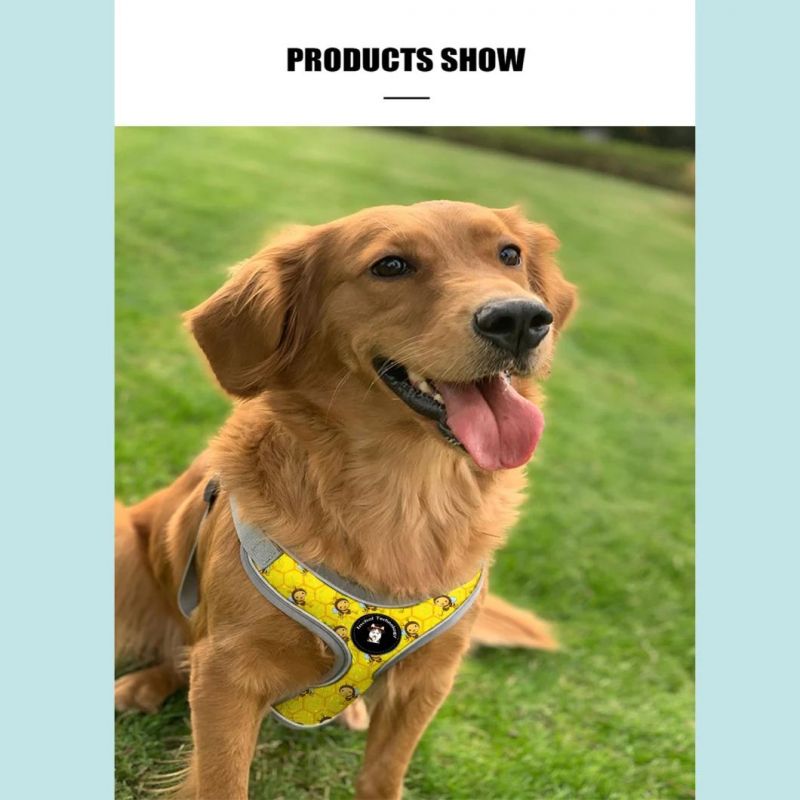 All Kinds of Full Set Hot Selling Dog Harness