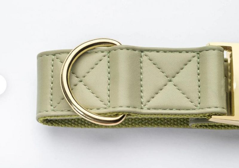 Olive Leather Luxury Dog Collar Leash Set