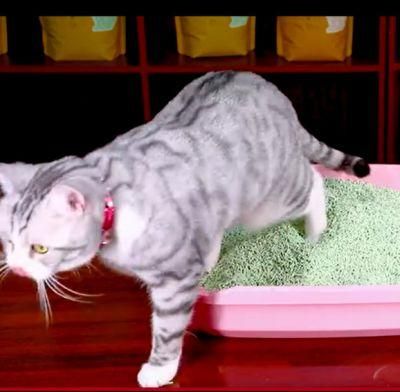 Tofu Cat Litter Flushable Tofu Litter Bulk Banded Tofu Cat Pet Litter Sand