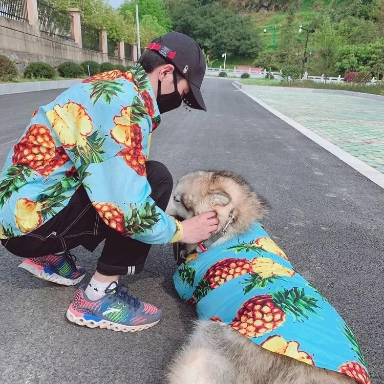 Pineapple Pattern Family Matching Pet- Owner Clothes Polo Shirt Spring /Pet Shirt Tropical Rain Forest Dog Shirt