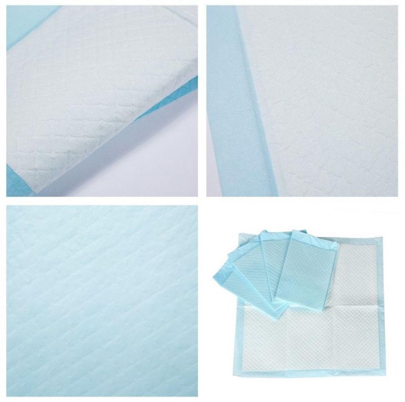 OEM Biodegradation Nonwoven Urine Absorbent Disposable Pet Pad Waterproof