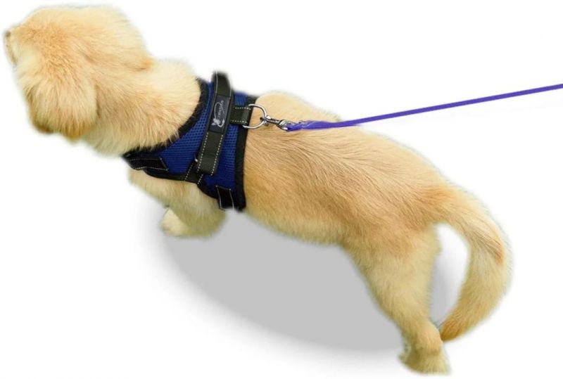 No Pull Reflective Adjustable Mesh Dog Harness with Handle
