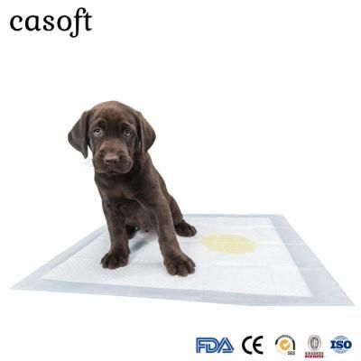 Pet Disposable Absorbent Underpads Hot Selling Biodegradable PE Fluff Pulp Cloth Like Touch Dry Surface