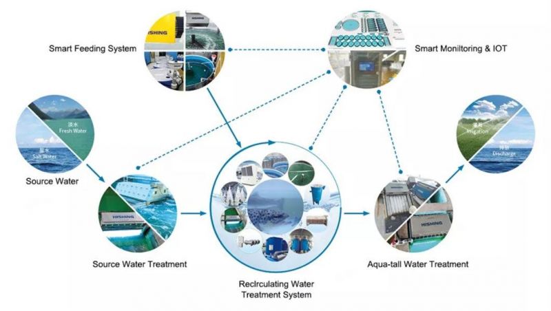 Anti-Leaking Durable PVC Tarpaulin Fish Pond Liner Plastic Fish Ponds Foldable Aquaculture Pond Tanks for Fish