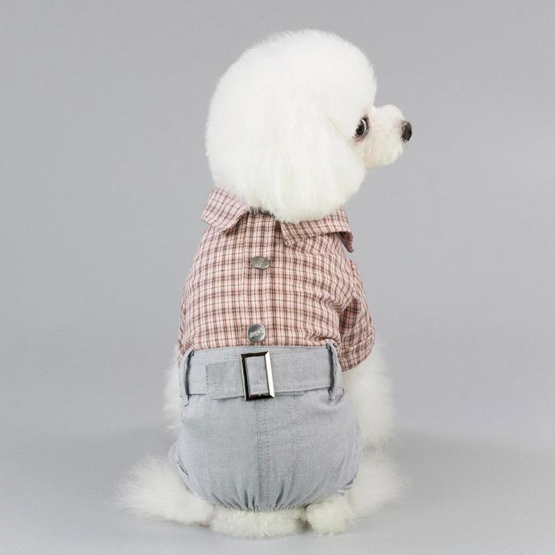 New Spring Summer Cat Dress Weaning Clothing Cat Dog Clothing Pet Clothes Manufacturer Clothes Cowboy