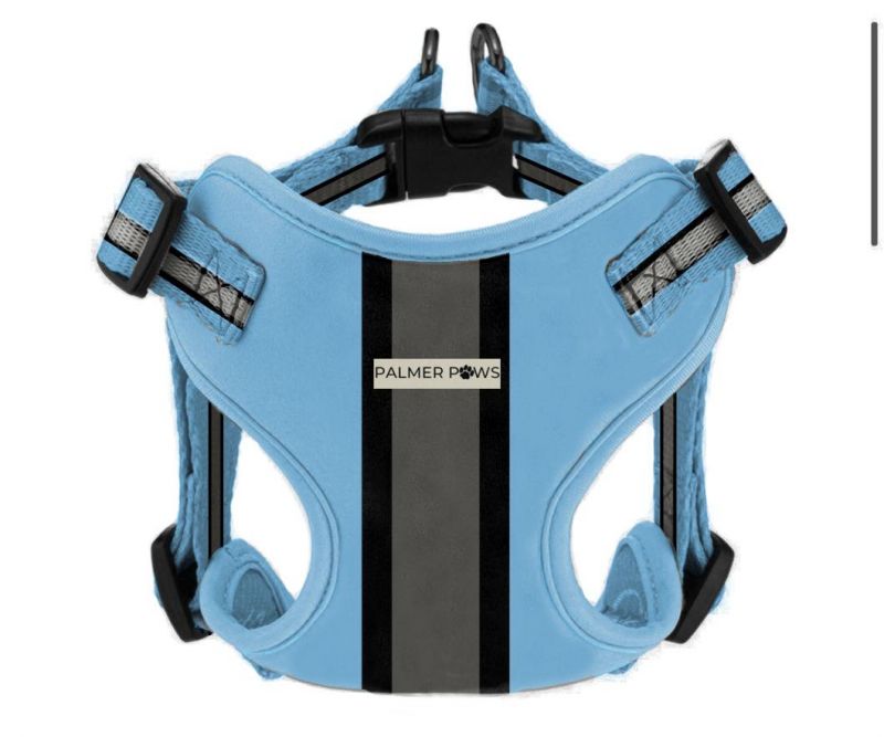 No Pull on The Dog′ S Chest Harness, Walking Pet Chest Harness, with 2 Metal Loops and Handles, Adjustable Reflective and Breathable Oxford Soft Vest,