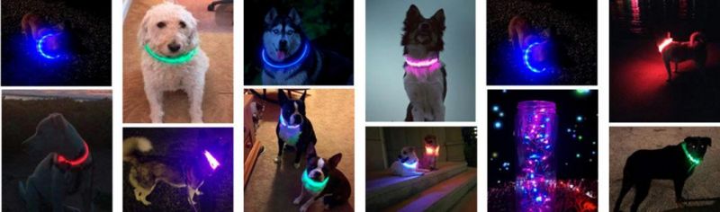 LED Animals Dog-E-Glow Dogs Gifts Pets
