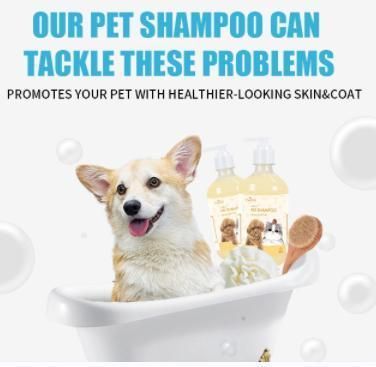 Tsong Contract Manufacturing Pet Hair Cleaning Shampoo for Pet Care 500ml Orange Flower Pet Shampoo