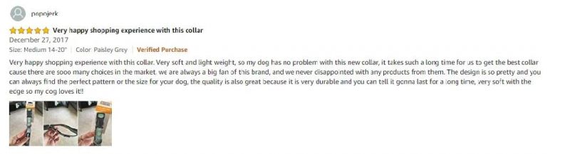 Durable Solid Nylon Dog Collars