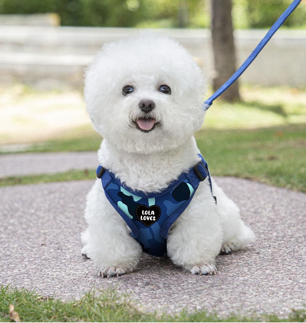 OEM Manufacturer Pet Supplies Custom Logo Luxury Dog Products High Duty Leather Chest Pet Dog Harness Vest