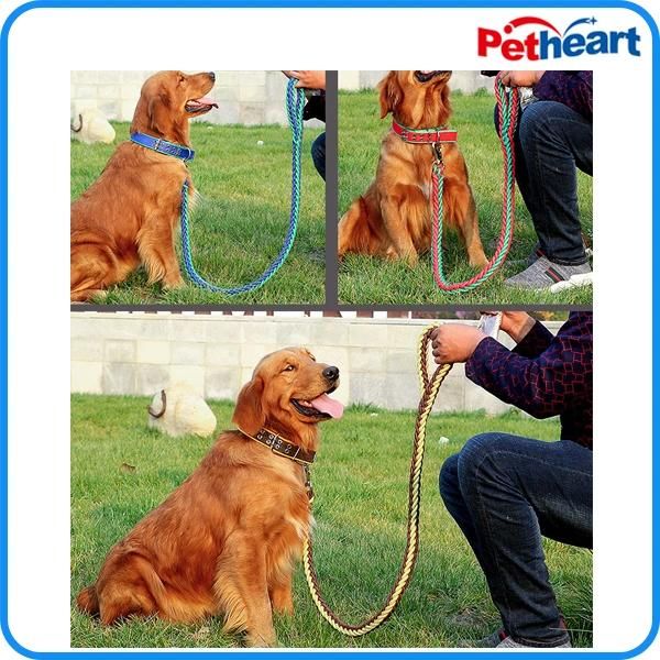 Nylon 4 Size Colorful Cheap Pet Lead Dog Leash Manufacturer