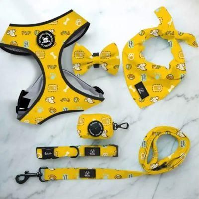 Various Fashion Printing Designs Filled Dog/Pet Harness Complete Set/Pet Vest