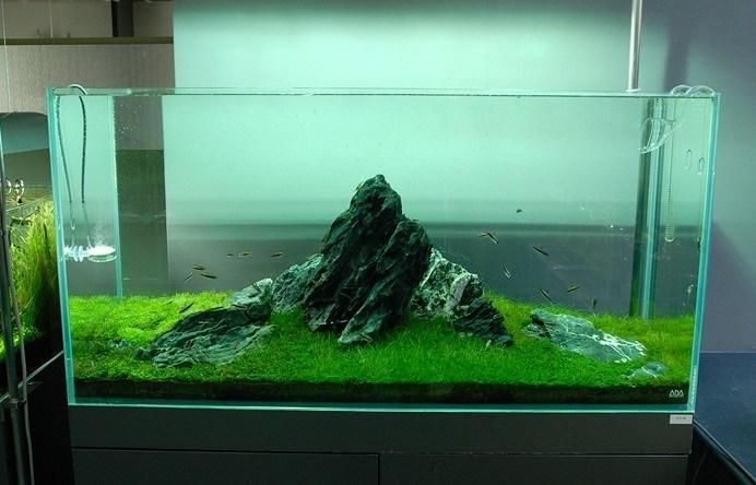 Fish Tank Aquarium for Sale