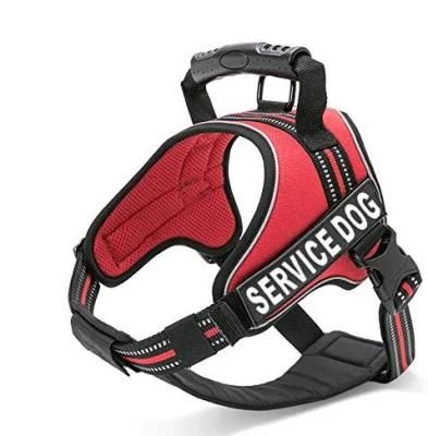 Durable Outdoor Adventure Pet Harness with Removable Chest Padding