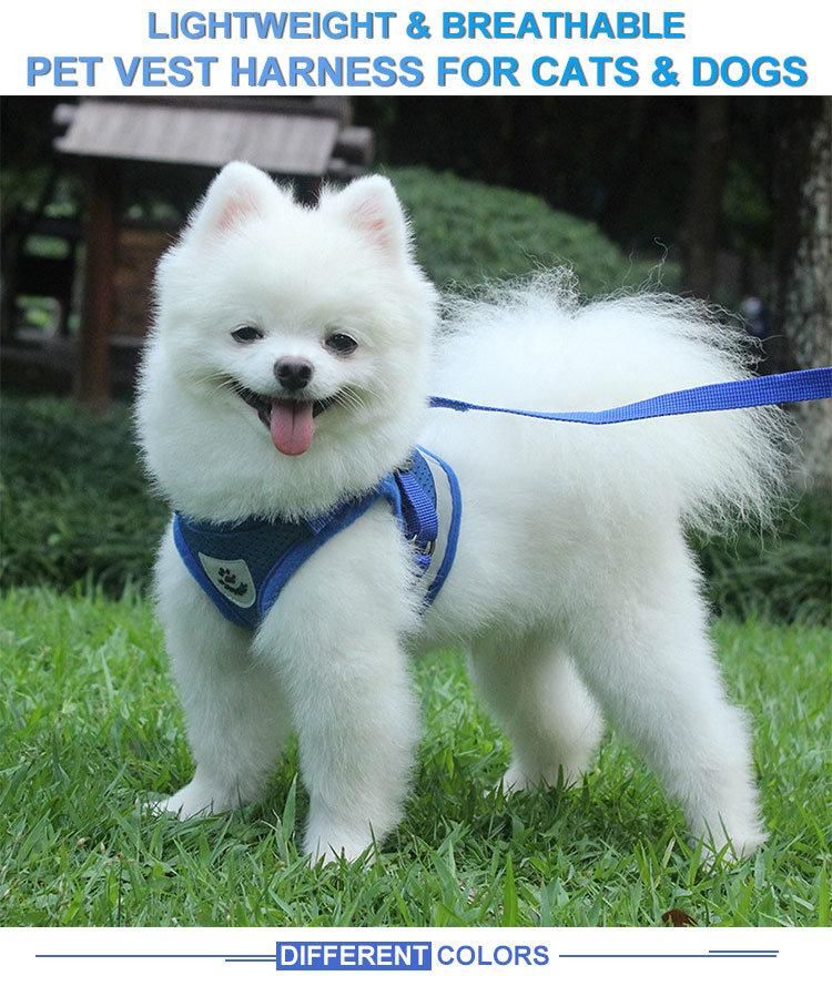 Wholesale Dog Leash Lead/ Pet Collar Flashing LED Lighted Dog Lead, Dog Harness/Pet Leashes