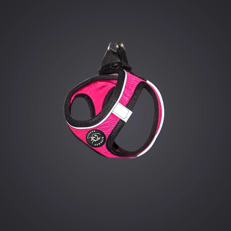 Cat Harness and Leash Set for Walking Cat and Small Dog Harness Adjustable Dog Harness