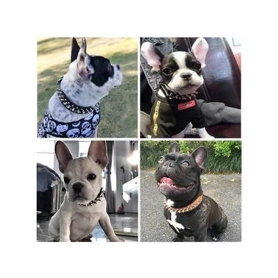 Interactive Plush Bite-Proof Bright Colors Leather Pet Collars
