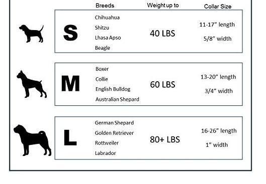 Basic Strong Nylon Sublimation Dog Collar