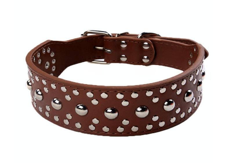 Large Pet Collar with Twinkling Rivet Studded