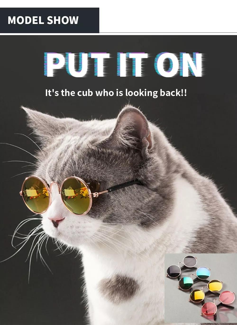 Pet Cat Glasses for Photos Props Accessories Little Dog Cat Eye Wear Sunglasses Pet Supplies Toy
