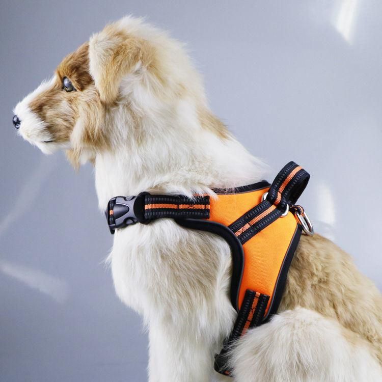 Fashion Designer Luxury Cotton Adjustable Soft Outdoor Waterproof Dog Harness