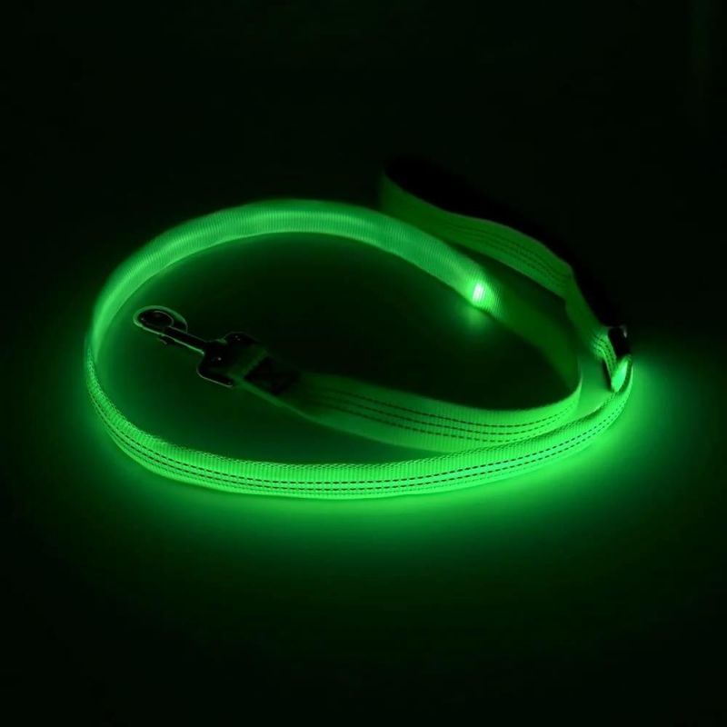 USB Rechargeable 47.2 Inch 120 Cm Reflective Night Safety Pet Leash