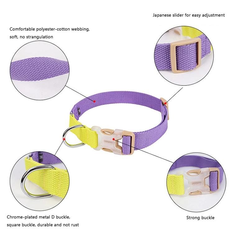 Soft Neck Adjustable Colorblock Dog Collar