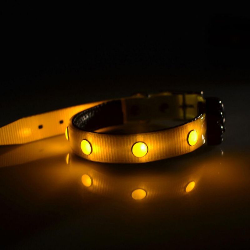 LED Light-up Jewel Pet Collar