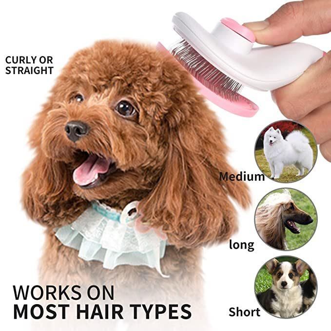 3 Colors Pet Massage Brush or Pet Comb, Stainless Steel Ball Head Steel Needle, to Pet Grooming