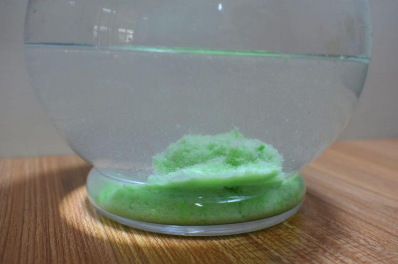 No Moldy Tofu Cat Litter - Green Tea Scent