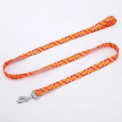 Dog Leashes Collars Sets with Neck Ring Carabiner Hook