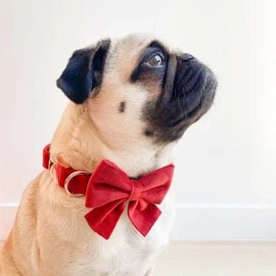 Comfortable Velvet Dog Collar with Bow Tie Matching Dog Collar Bowtie Set for Winter