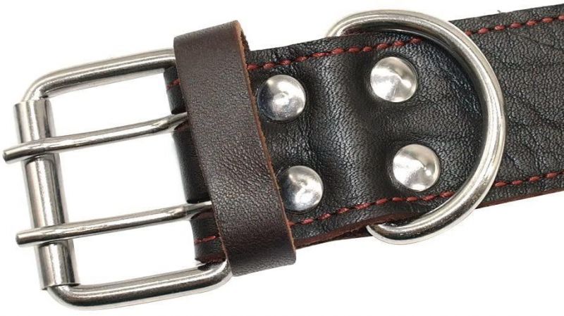 Genuine Leather Dog Collar for Walking & Training Heavy Duty Dog Collar with Handle