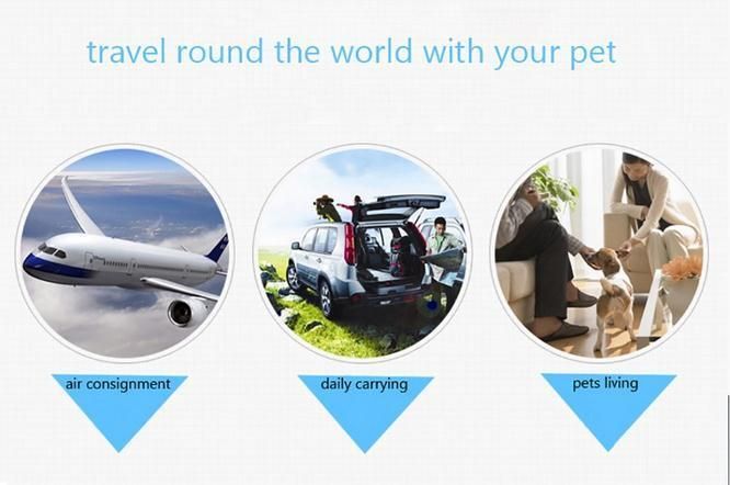 Portable Plastic Pet Carrier for Airline Transportation