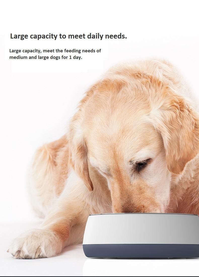 Dog Bowl Cat Bowl for Food and Water, Stainless Steel Double-Wall, Keeps Cold for Hrs, Non Slip Feeding Dish, Anti-Rust, Small Medium Large Pets