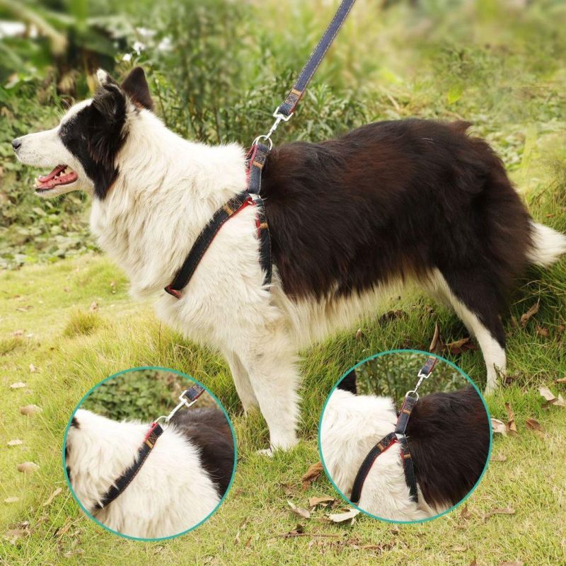 Pet Harness with Adjustable Pet Collar and Pet Leash Set