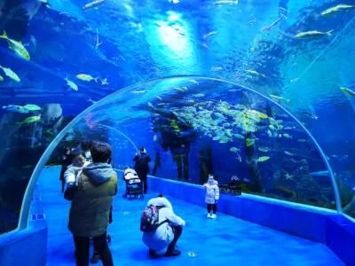 Acrylic Glass Tunnel Aquarium