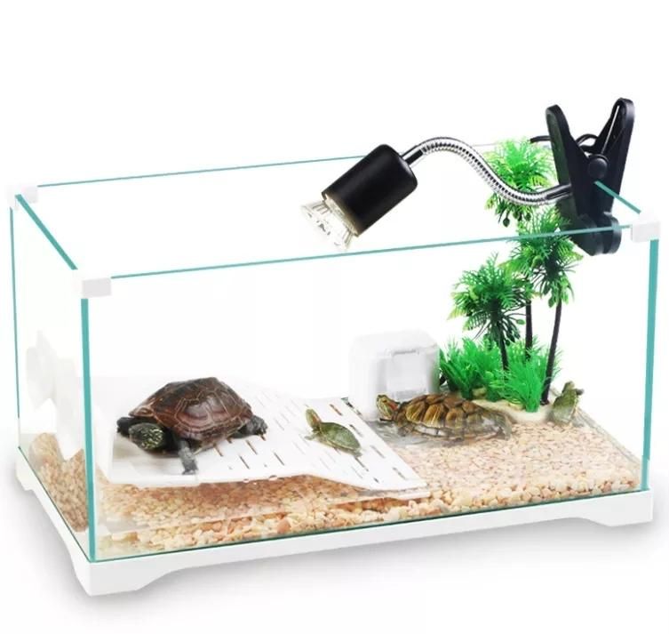 Wholesale Fish Farming Tanks Aquarium Terrace Ecological Turtle Tank Fish Glass Tank Special Fish Tank