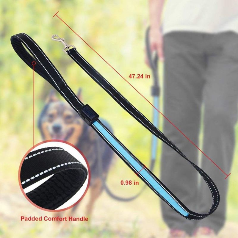Solar-Powered/USB Rechargeable Waterproof LED Dog Leash