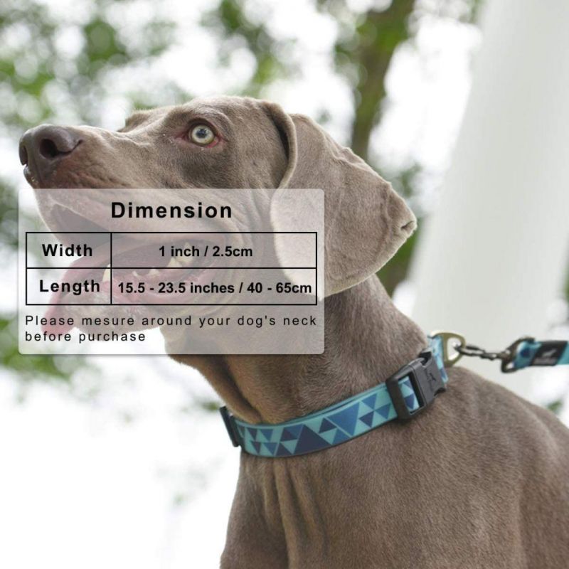 Waterproof Dog Collar Durable PVC Collars for Large Dogs