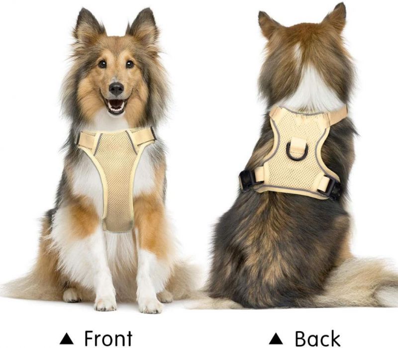 Innovative No-Choke Design Light Weight But Tough Enough Dog Harness