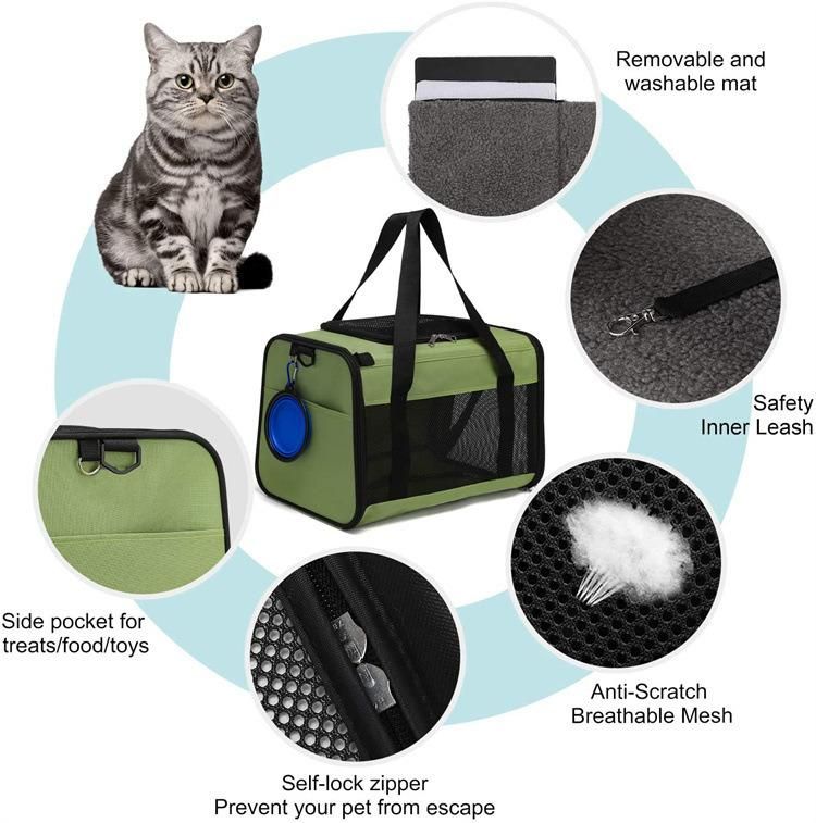 Customize OEM ODM Fashion Collapsible Carrier Travel Bag for Heavy Pets