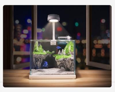 Yee Aquarium Sky City Fish Tank Fish Bowl Landscaping Tank