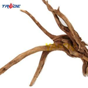 Natural Driftwoods Slim Wood Dritwood for Aquarium