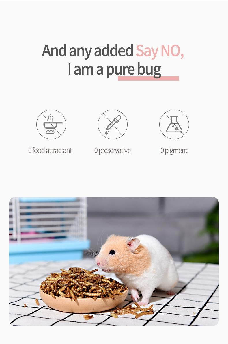 Yee No Addition Pet Nutrition Food Hamster Golden Bear Feeding Pet Products