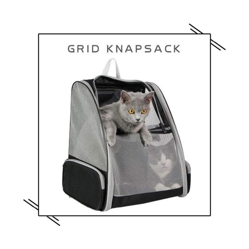Pet Backpack Carrier Collapsible Buckle Support with Safety Straps for Small Catdog
